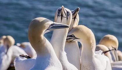 力生制药股价上涨10.01% 创新药行业政策持续加码