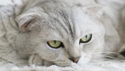 一周复盘 | 信达地产本周累计下跌9.93%，房地产开发板块下跌7.48%