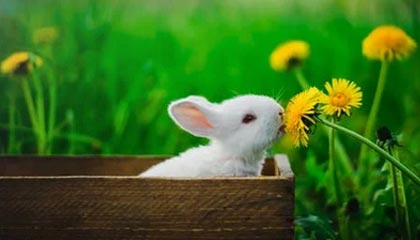 信达地产最新公告：与中国信达等共同发起设立200亿元房地产行业存量资产纾困盘活基金