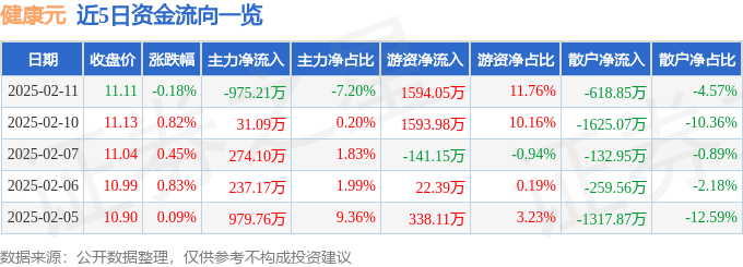 股票行情快报：健康元（600380）2月11日主力资金净卖出975.21万元