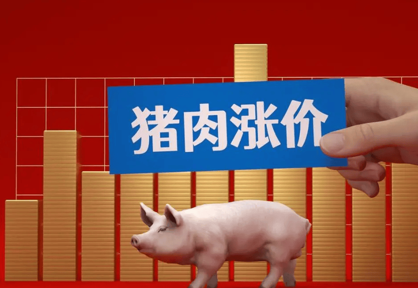 湖南猪价今日行情分析