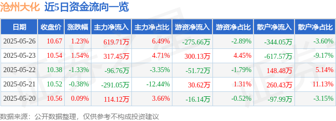 股票行情快报：沧州大化（600230）5月26日主力资金净买入619.71万元