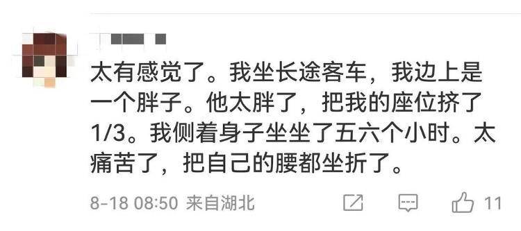 被体型宽大的高铁邻座挤到没法坐……怎么办？在线等！