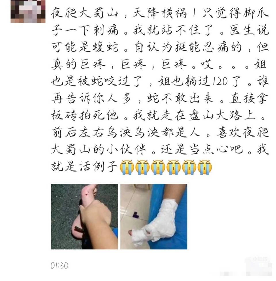 合肥一市民夜爬大蜀山被毒蛇咬伤 公园管理处呼吁：尽量避免夜间登山