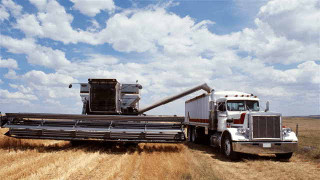 美国突然收到一封“投降书”！台湾将掏出所有家底双手奉上