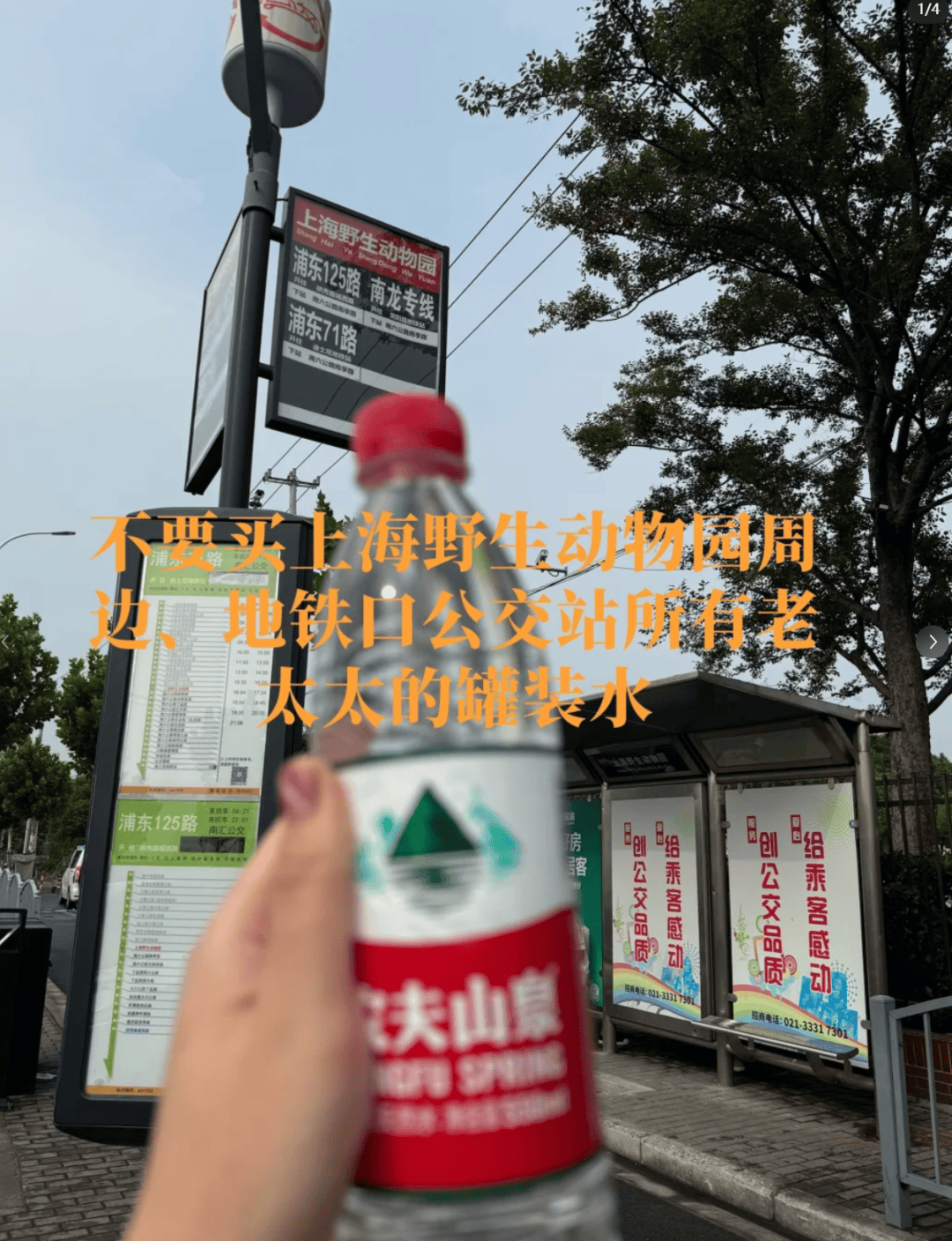 恶心！上海知名景区门口有人卖不明饮料，不少游客中招，城管部门已介入调查