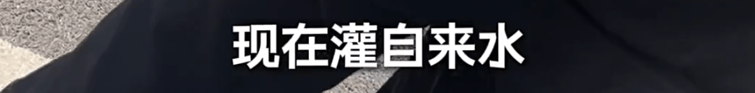 恶心！上海知名景区门口有人卖不明饮料，不少游客中招，城管部门已介入调查