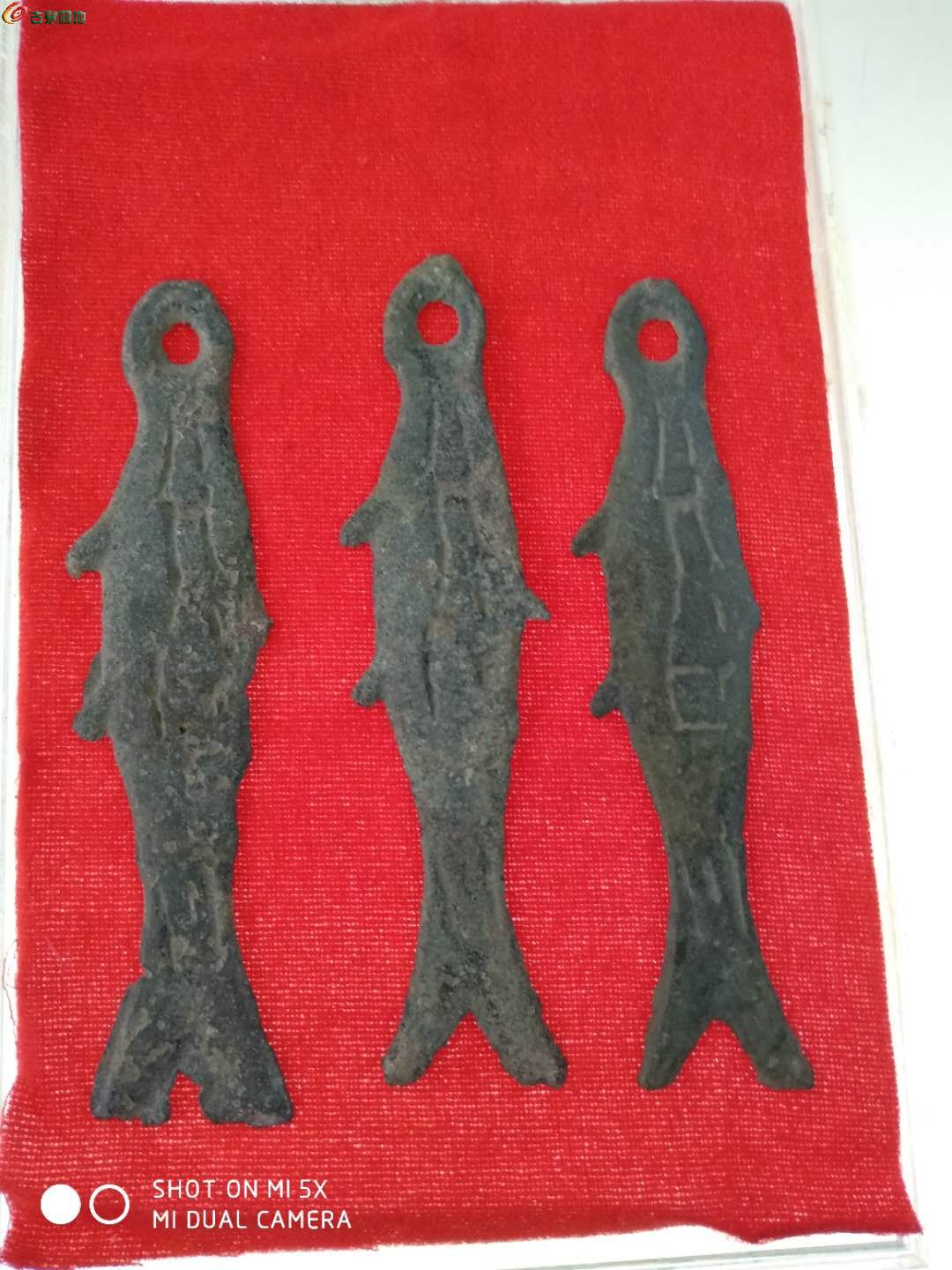 币鱼怎么交易(币币交易怎么赚钱)