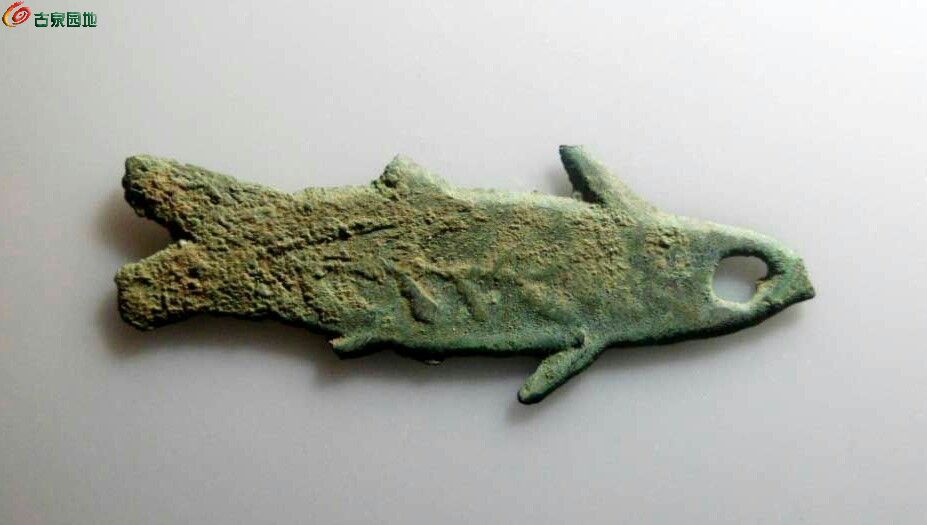 币鱼怎么交易(币币交易怎么赚钱)