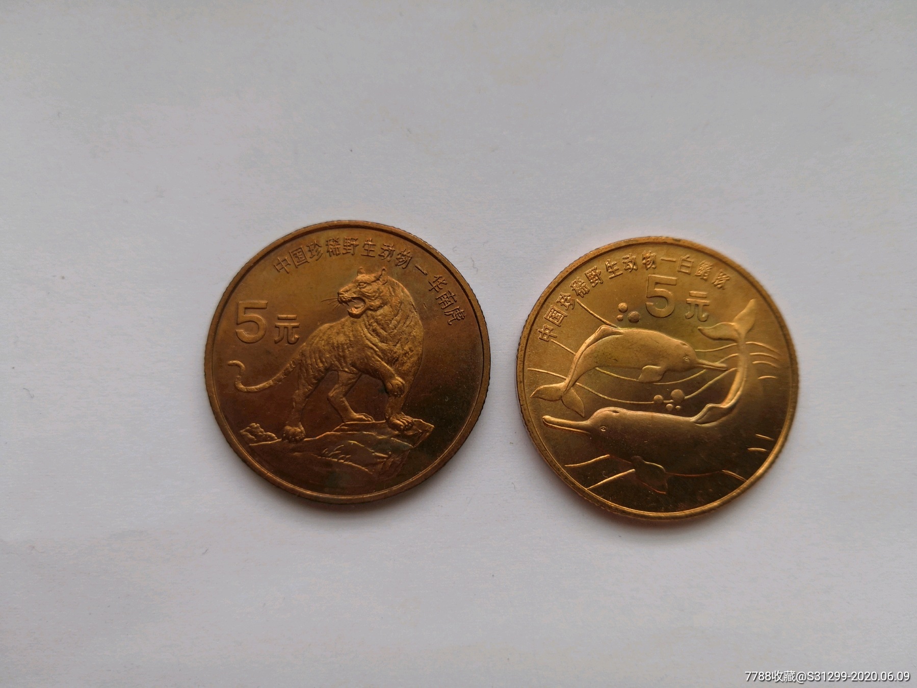 币虎网怎么交易(币虎交易所的最新登录网址)