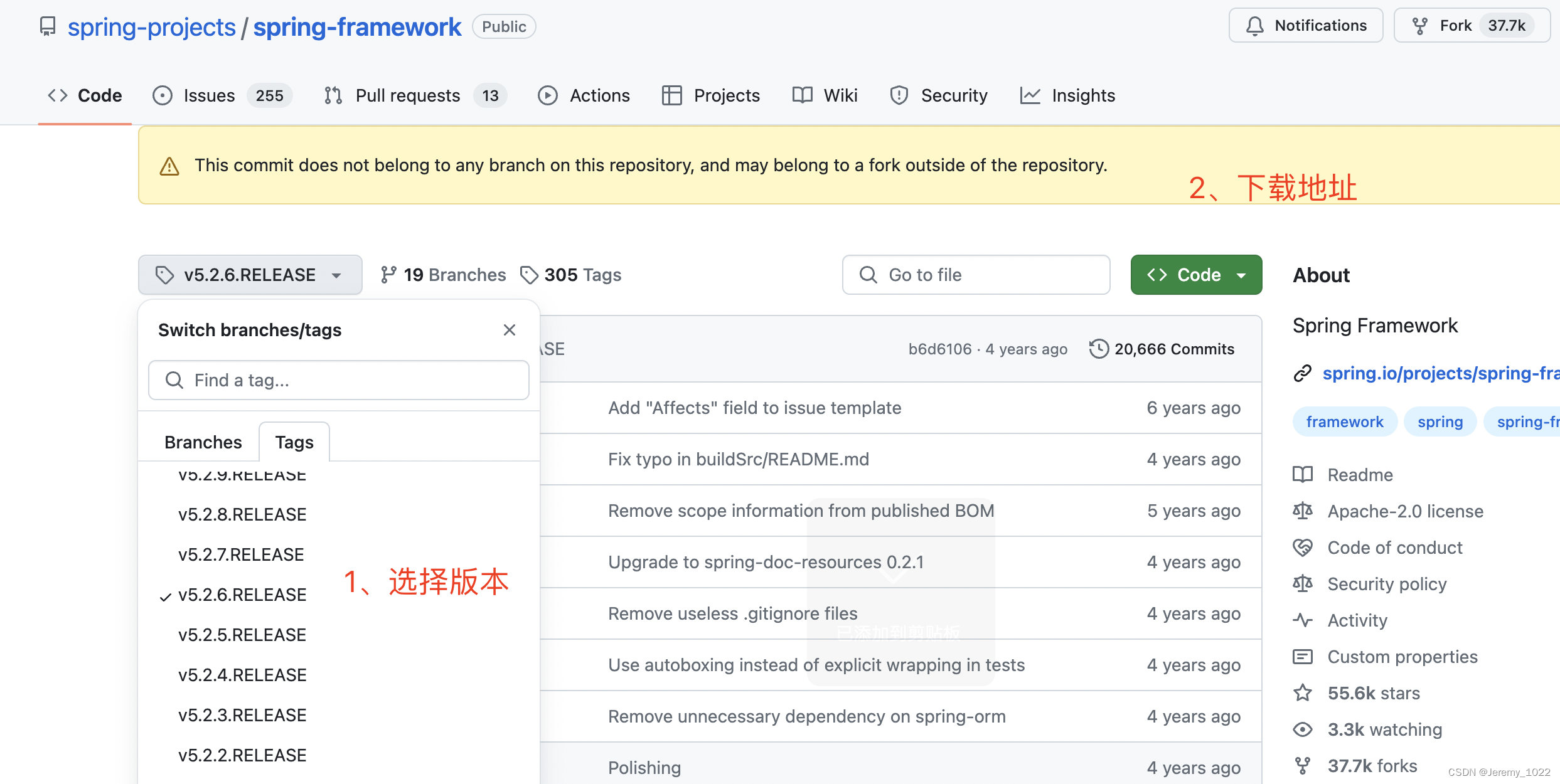 怎么查看软件源码(怎么看一款软件的源代码)