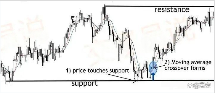 如何成为炒币高手(如何成为炒币高手呢)